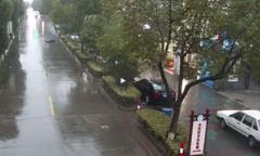 学生扶大妈反被讹，监控还原真相