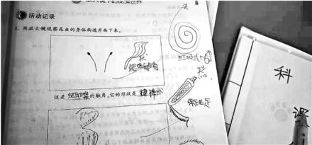 科学老师遭学生怼，错别字只有语文老师能改吗