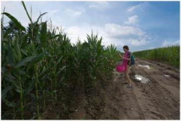 和丈毋娘玉米地做爰，丈母娘和老婆一起伺候我！