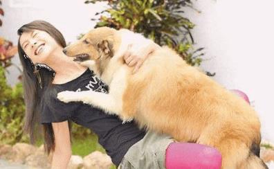 女人和狗交配，不可自拔的爱上这种感觉！