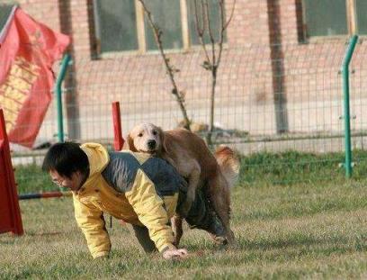 狗狗不要恩啊好大好烫，阴道会有一种特别的充实感！