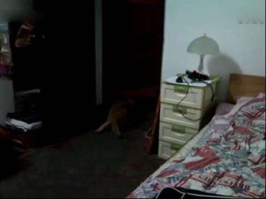 黄色乱伦小说，这个少妇这么淫贱！