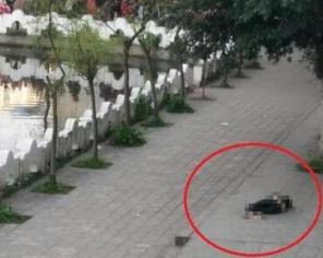 泸州太伏中学学生死亡，死因疑点重重