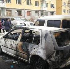 女子泄愤放火烧车，原因竟是为了狗狗报仇