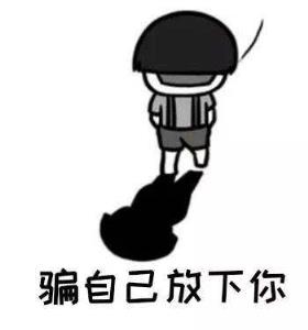 我不曾爱过你我自己骗自己,骗得了别人骗不了自己!