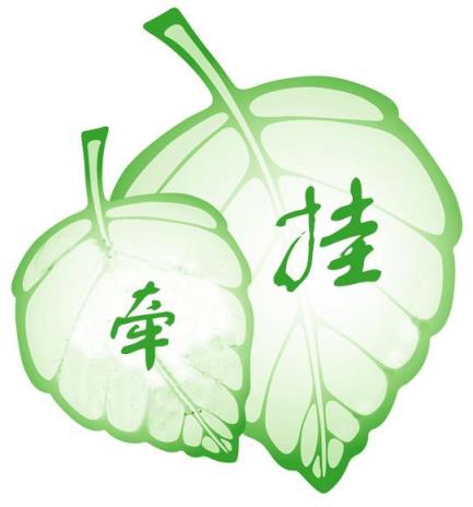 我前几世种下不断的是牵挂，牵挂的源头就是情！