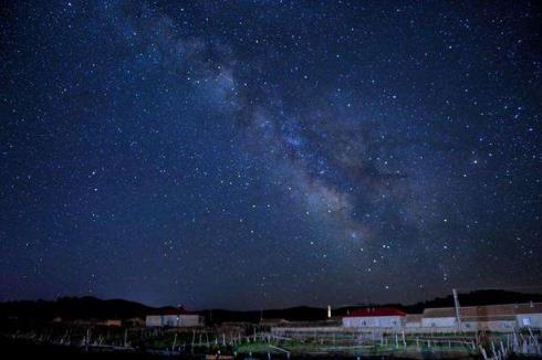 天上星星都给你摘,我却只想你陪陪我!