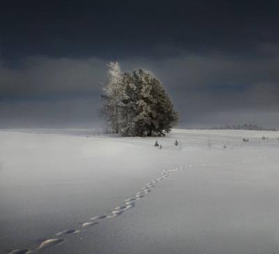 只怕我自己会爱上你，不敢让自己靠的太近！