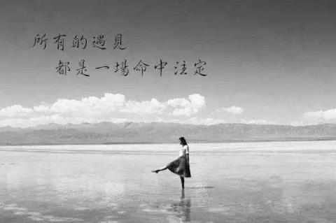 走着走着就散了,有些人相逢了便注定离去!