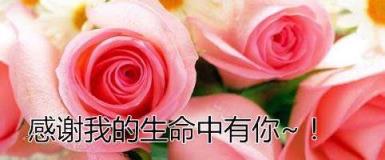 来过我生命的你，你是我生命中最美的相遇！
