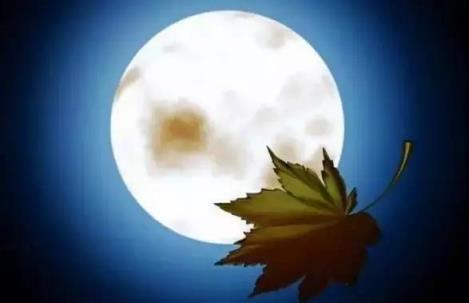 往事不可追,时光似流水不可待!