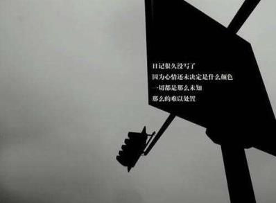 爱上一个不该爱的人,是她一个猎富的目标!