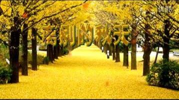 离别的秋天,伤感的秋天!