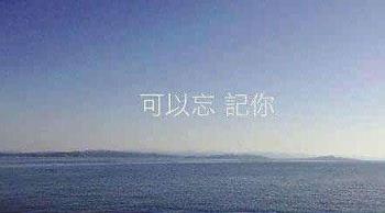 下定决心忘记你,希望我从不曾和你相遇!