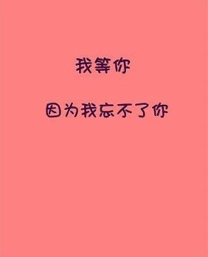 你在终点等我，鲜花沿路盛放！
