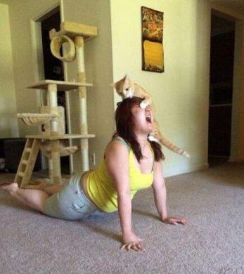 老婆被别人玩，先就玩了别人的老婆！