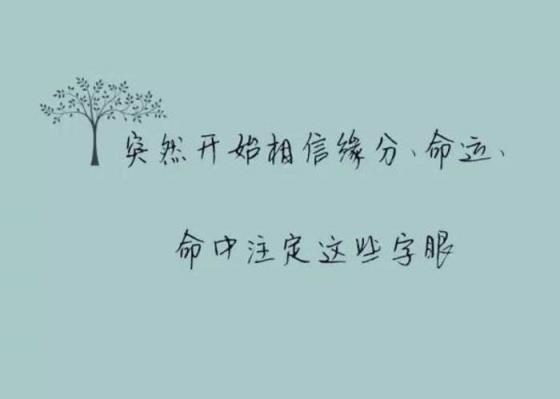 你喜欢的样子我都有，我为你而帅！