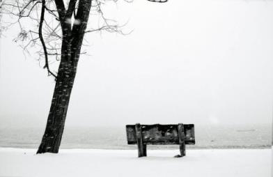 我们说好不分离，嬉笑欢乐镌刻心底！