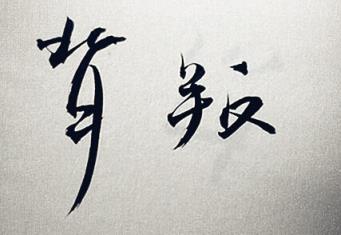 上门女婿的背叛，苦日子无穷无尽！