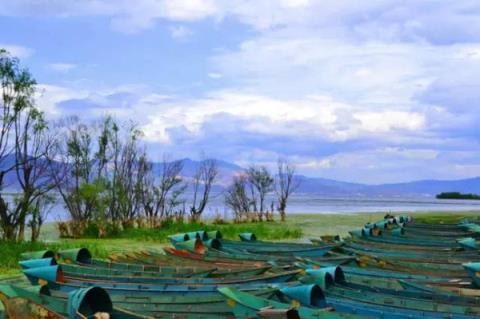 一场风花雪月的故事，他送了一束彼岸花给我！