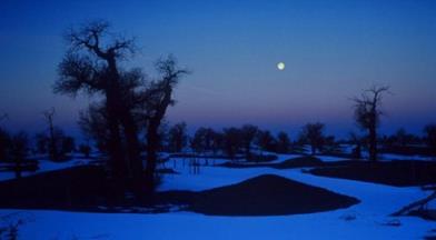 不再让你孤单，路再远我们一起走！