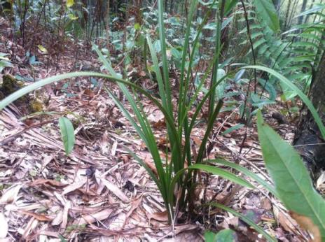 不再让你孤单，路再远我们一起走！