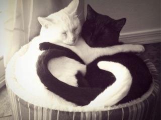 美丽的错误，爱上他是我的错！