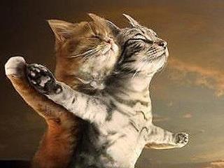 初恋的回忆，比我小5岁的男士是我的初恋！