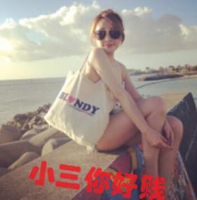 小三你好贱，碰上小四了看你怎么办？