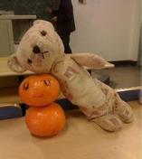 另类情感故事，我和公公上了床！