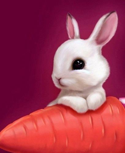 当你在抱怨自己的不幸的时候，想想那些更加不幸的人