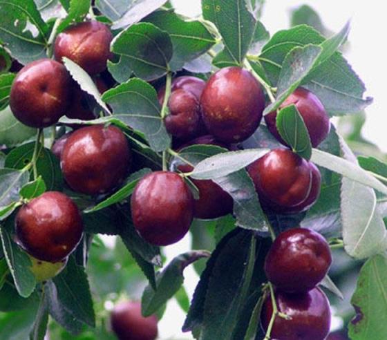 心理小故事，点亮你我的人生