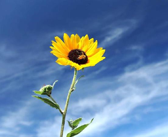 用尽我的一切奔向你，爱得太满会给对方带来负担！