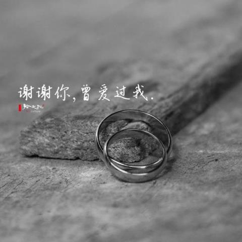 谢谢你曾经爱过我,我的卑微只给爱我的人!