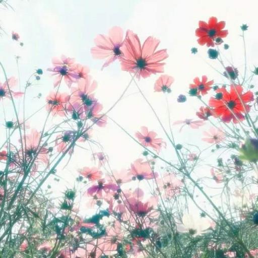 有一天你会明白有些人不再回来，有些人你永远不用等！