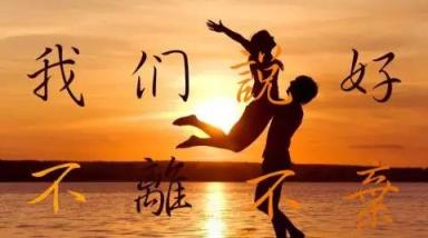 你的爱不离不弃,新的轮回你也一如既往!
