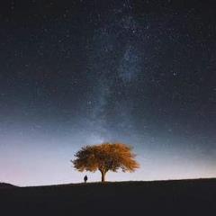 这一生关于你的风景，你是这夜里清新的茉莉花香！