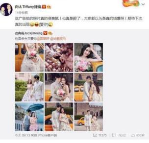 向太否认向佐结婚,婚纱照仅仅是拍广告