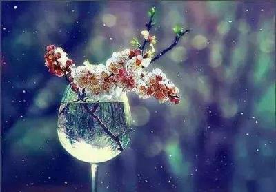 许你一世深情，愿你一世安好！