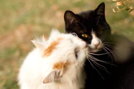 变成微风去想你，从此各自天涯！