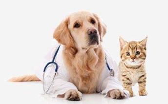 女朋友过生日送什么好，要投其所好！