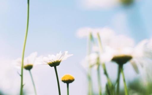 就在这一瞬间才发现你就在我身边，容颜不改！