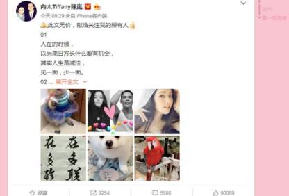向太官宣向佐恋情，欢喜之情溢于言表