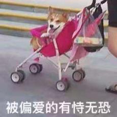 被偏爱的都有恃无恐，恃宠而骄！