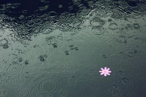 下雨天了怎么办我好想你,多想你陪我等雨停!