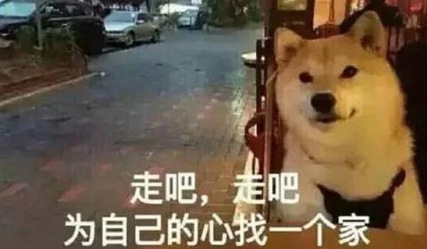一问一答的套路情话,我的优点就是会挑女朋友!