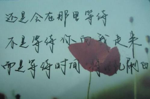 最感人的情书,把我的整个拿去!