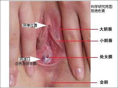处女膜图片赏析：真实完美的处女膜高清大图