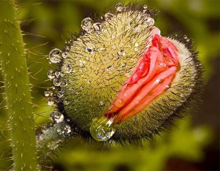 美女阴道图的样子 史上最真实的女人阴道图片