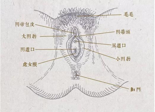 揉豆豆独家秘笈 五招带你爽上天